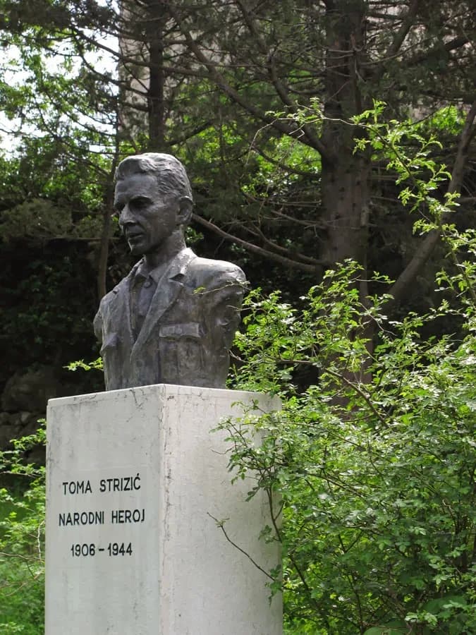 Tomo Strizicj