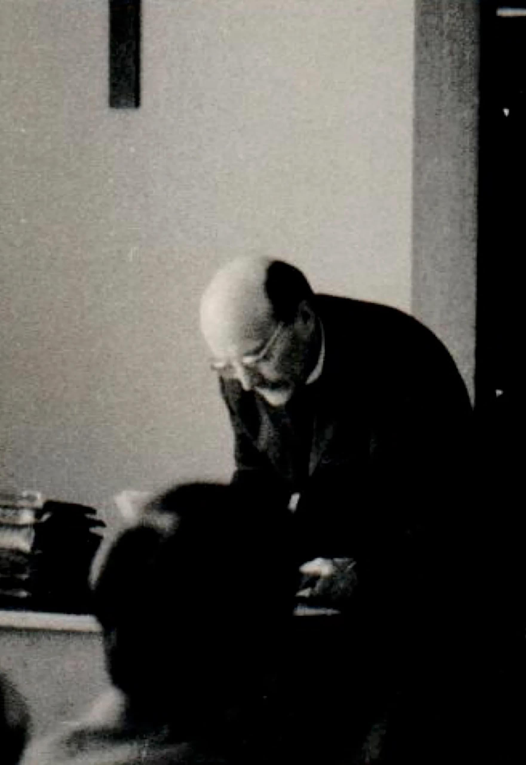 František Novák
