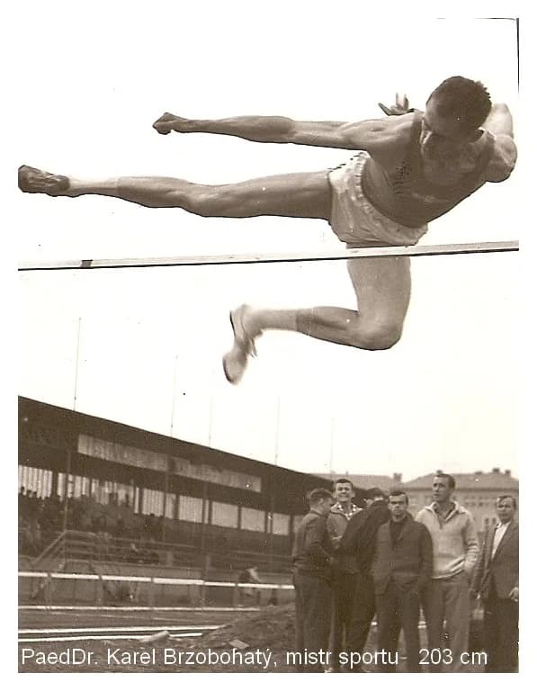 Karel Brzobohatý