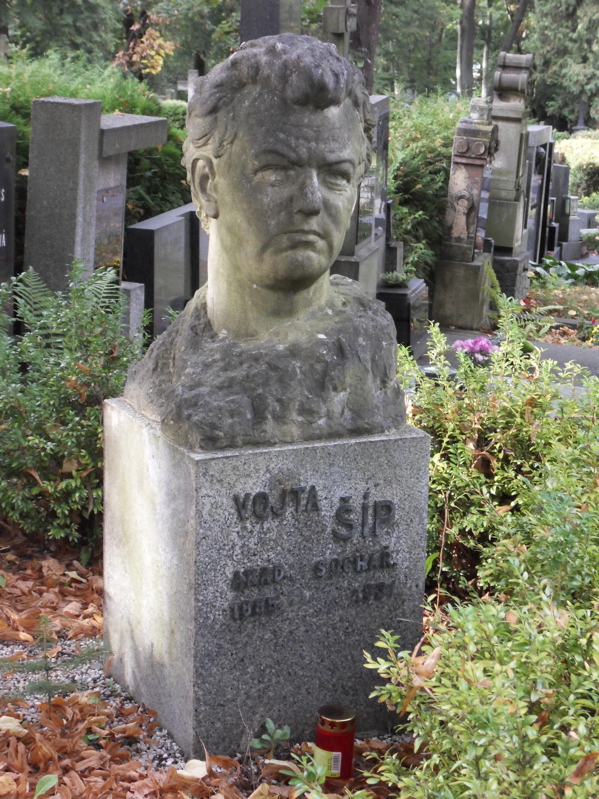 Vojtěch Šíp