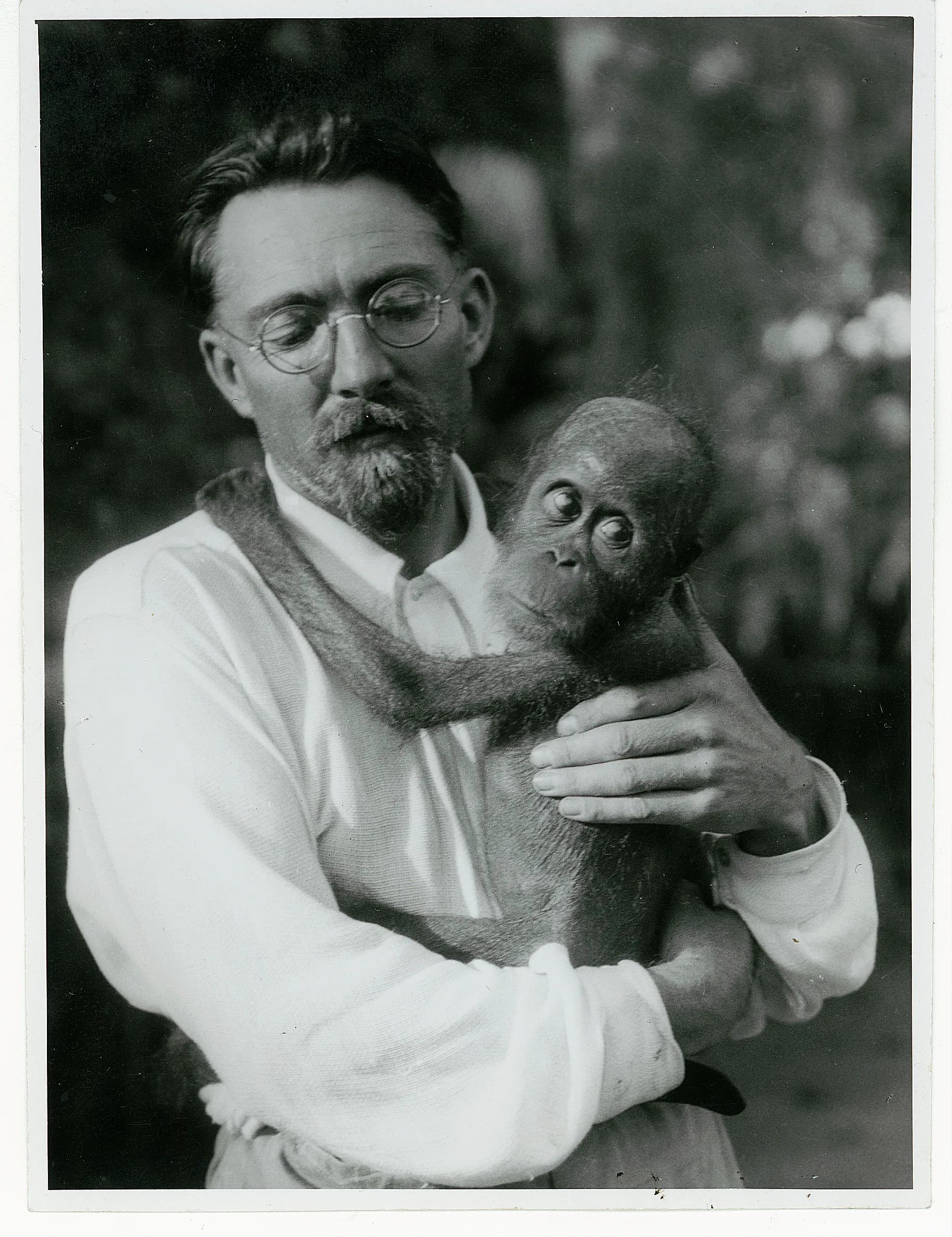 Arnold Heim