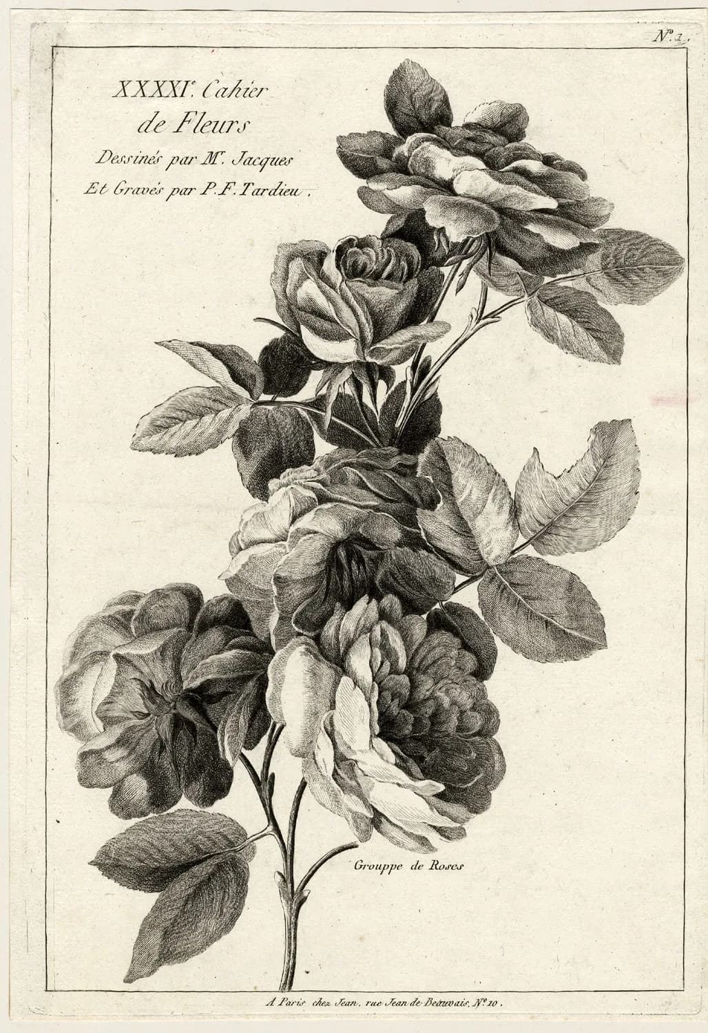 Pierre François Tardieu