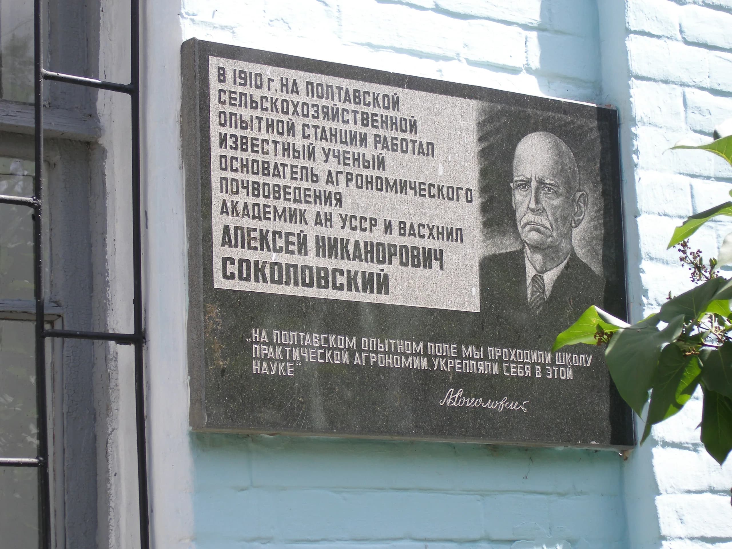 Alexei Nikanorowitsch Sokolowski