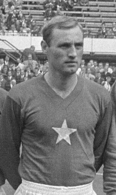Gyula Nemes