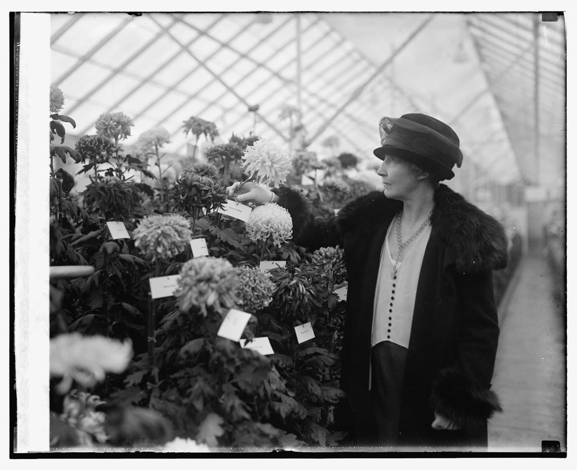 Effie Nebeker Jardine