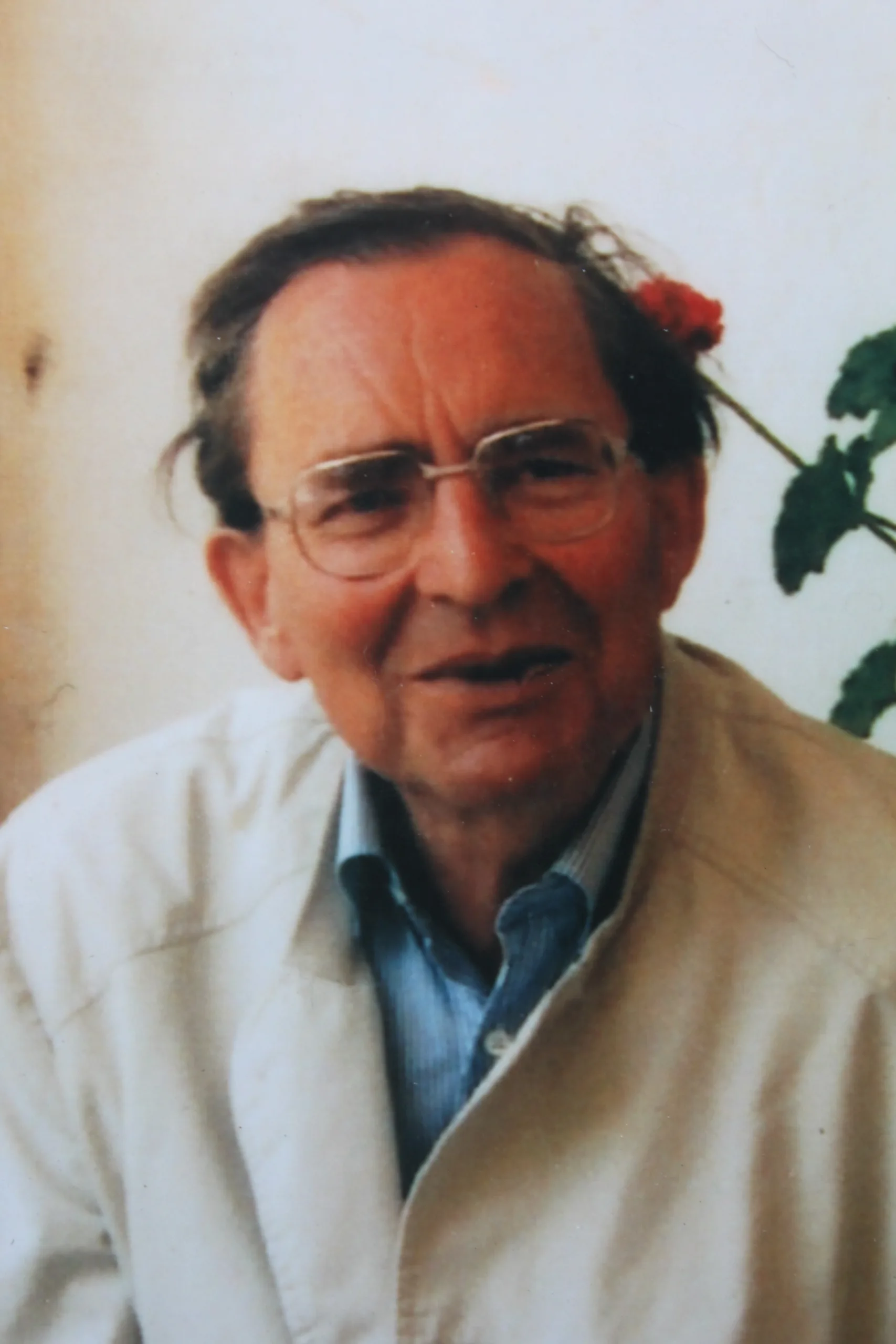 Dieter Albrecht