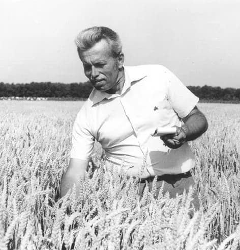 Todor Rachinski