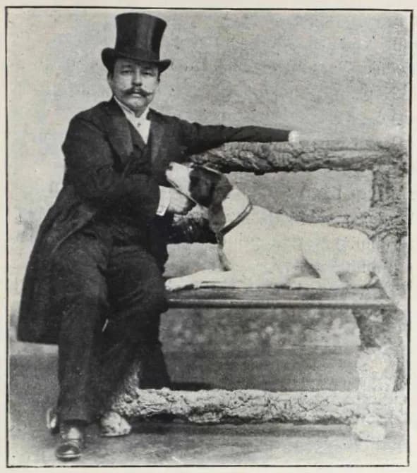 József Fónagy