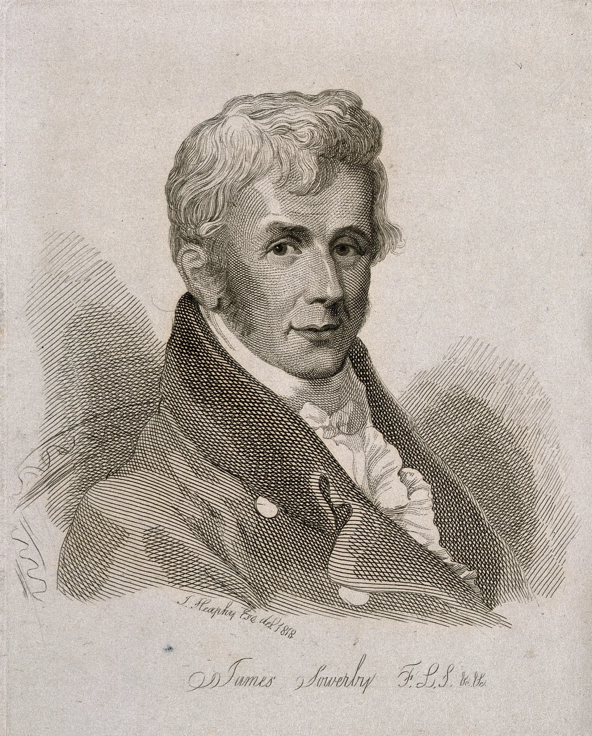 James Sowerby