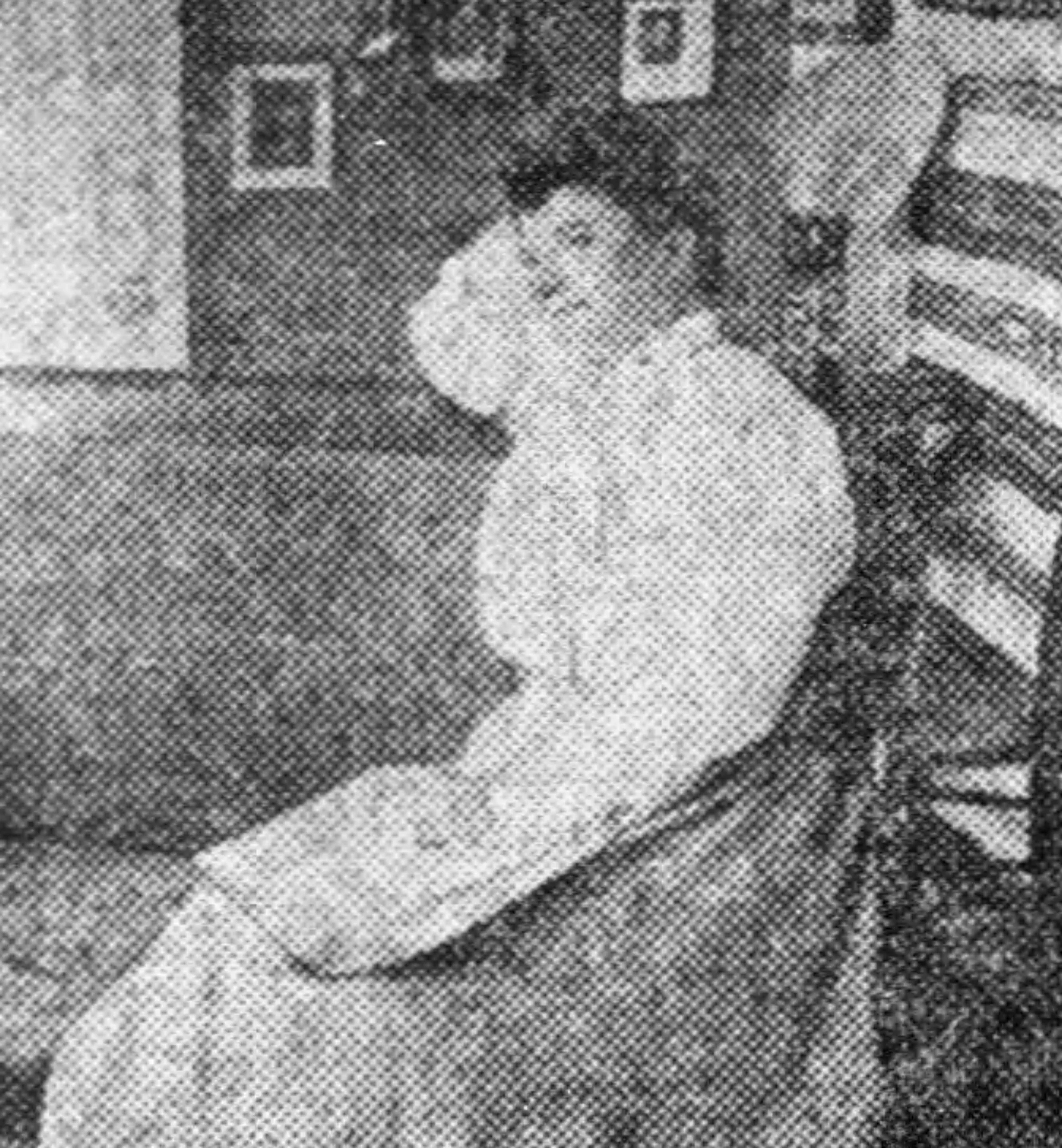 Mary Devereux