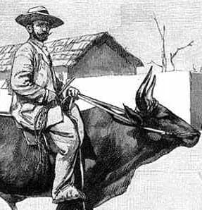 Maximilian Buchner