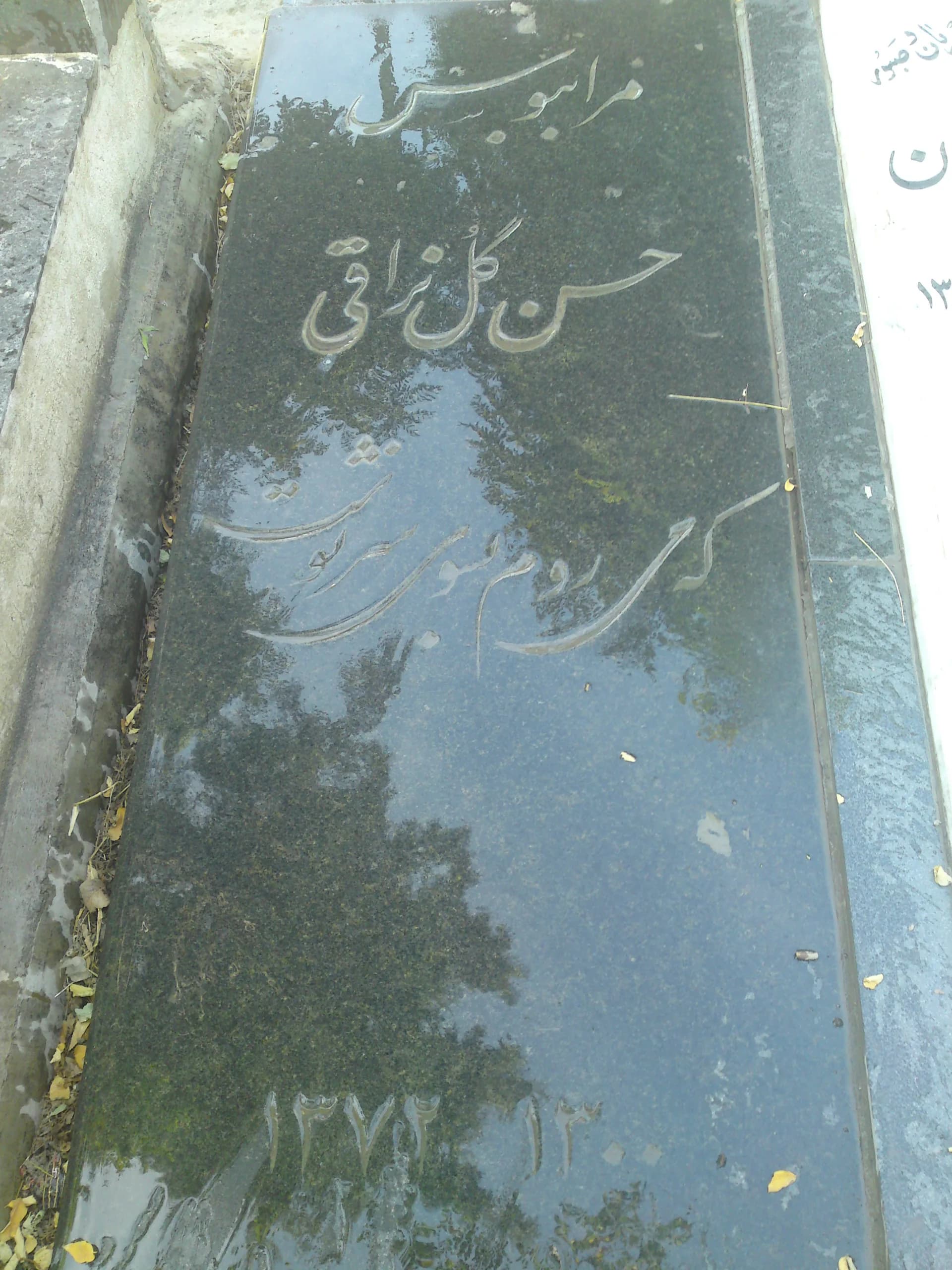 Hassan Golnaraghi