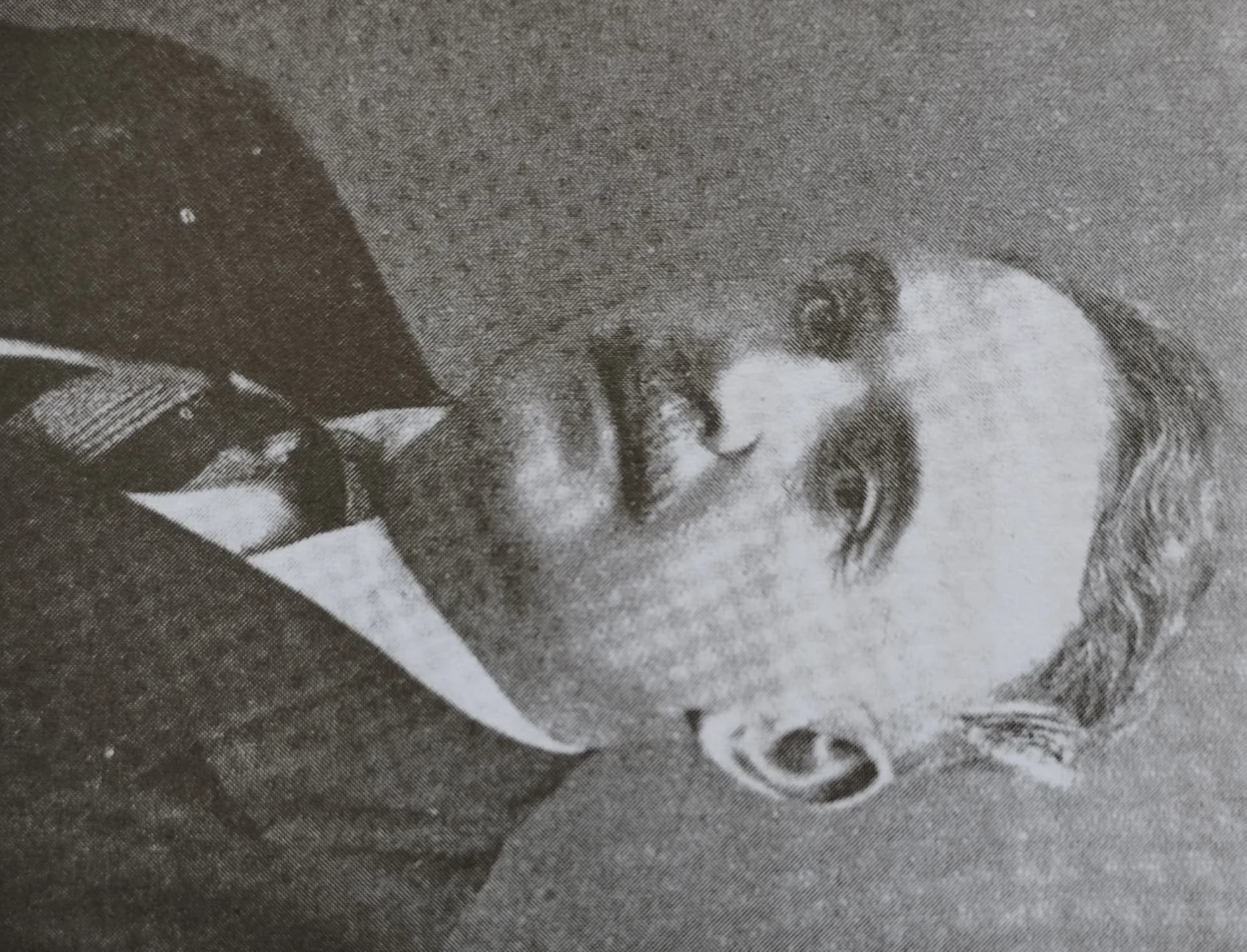 Dimitar Ikonomov