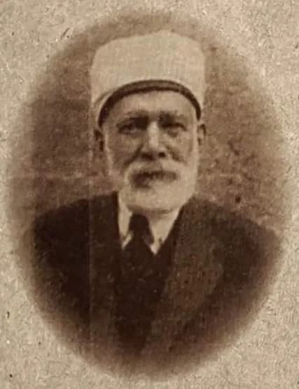 Džemaludin Čaušević