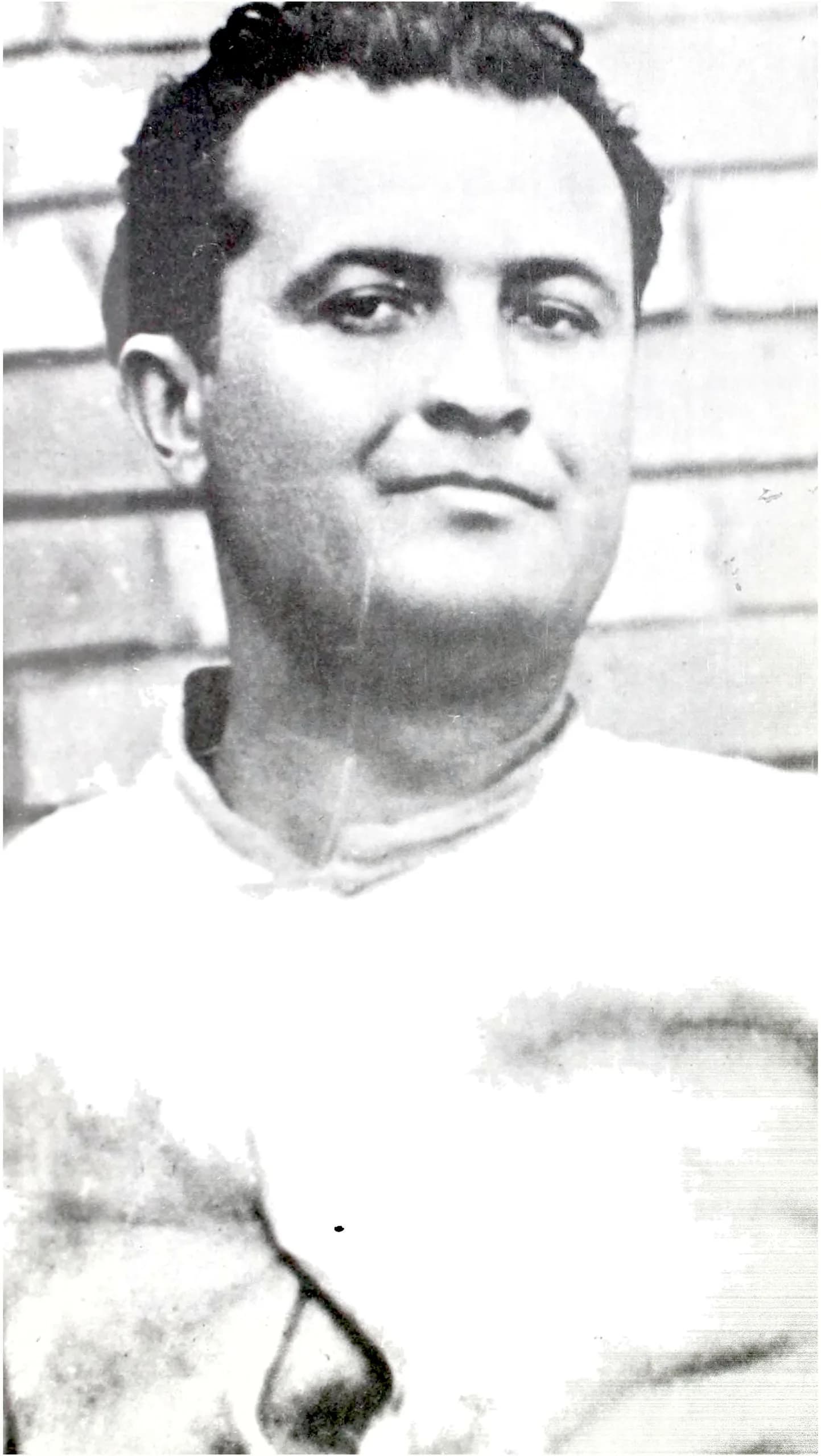 Ognjen Prica
