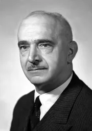 Domenico Farioli