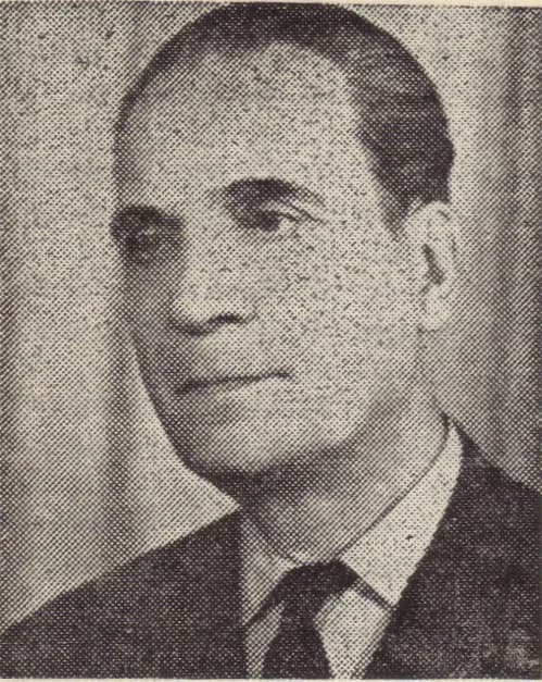 Vladimir Streinu