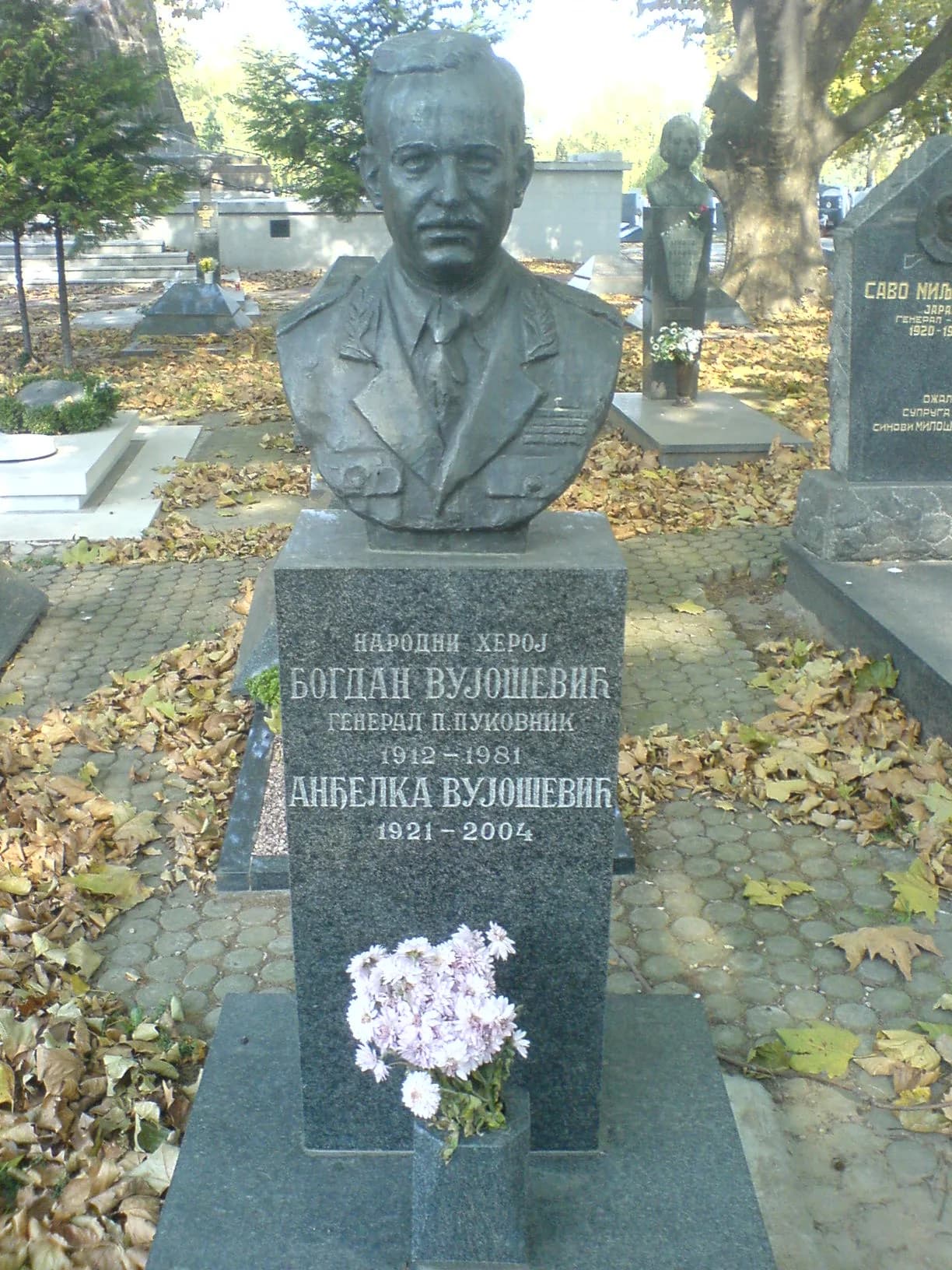 Bogdan Vujošević