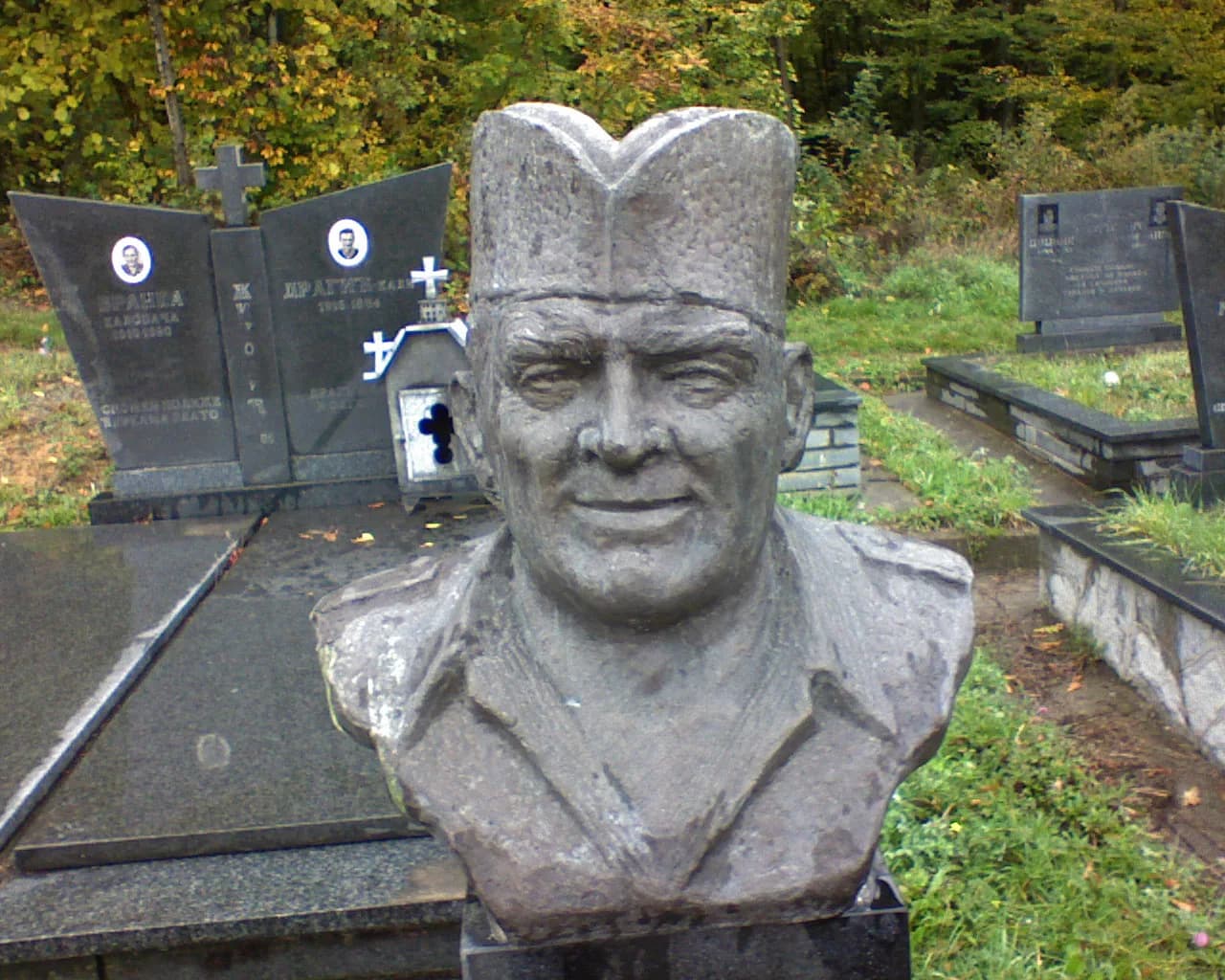 Desimir Žižović Buin
