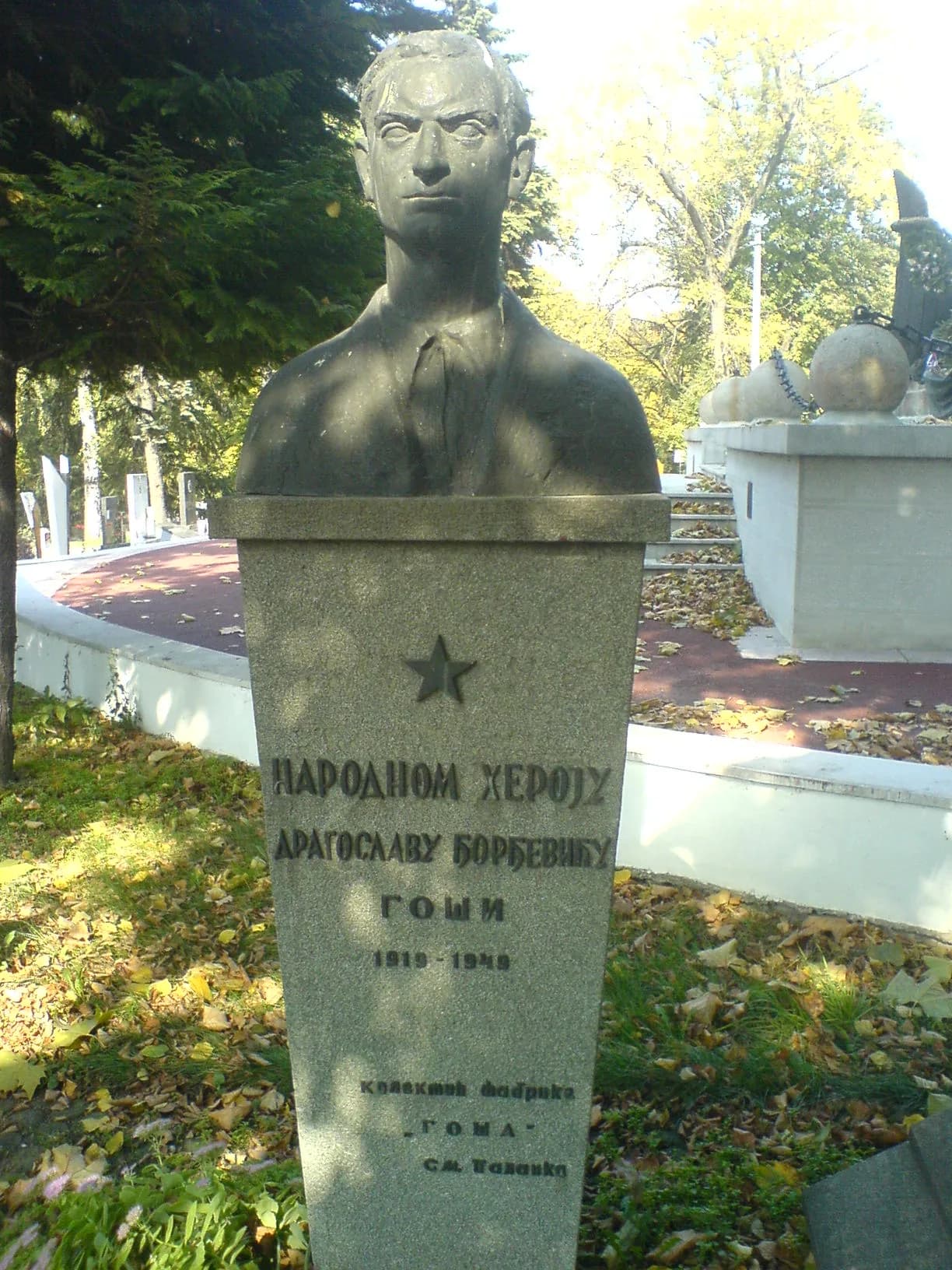 Dragoslav Đorđević Goša