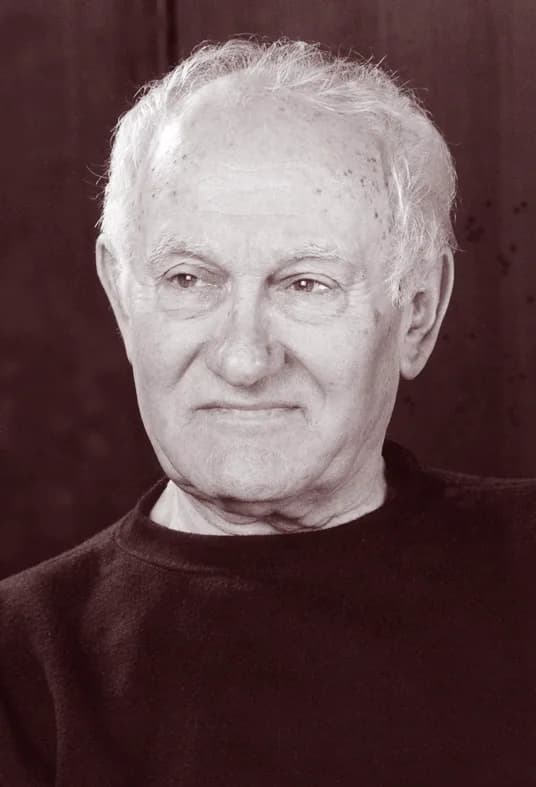 Rade Kojadinović