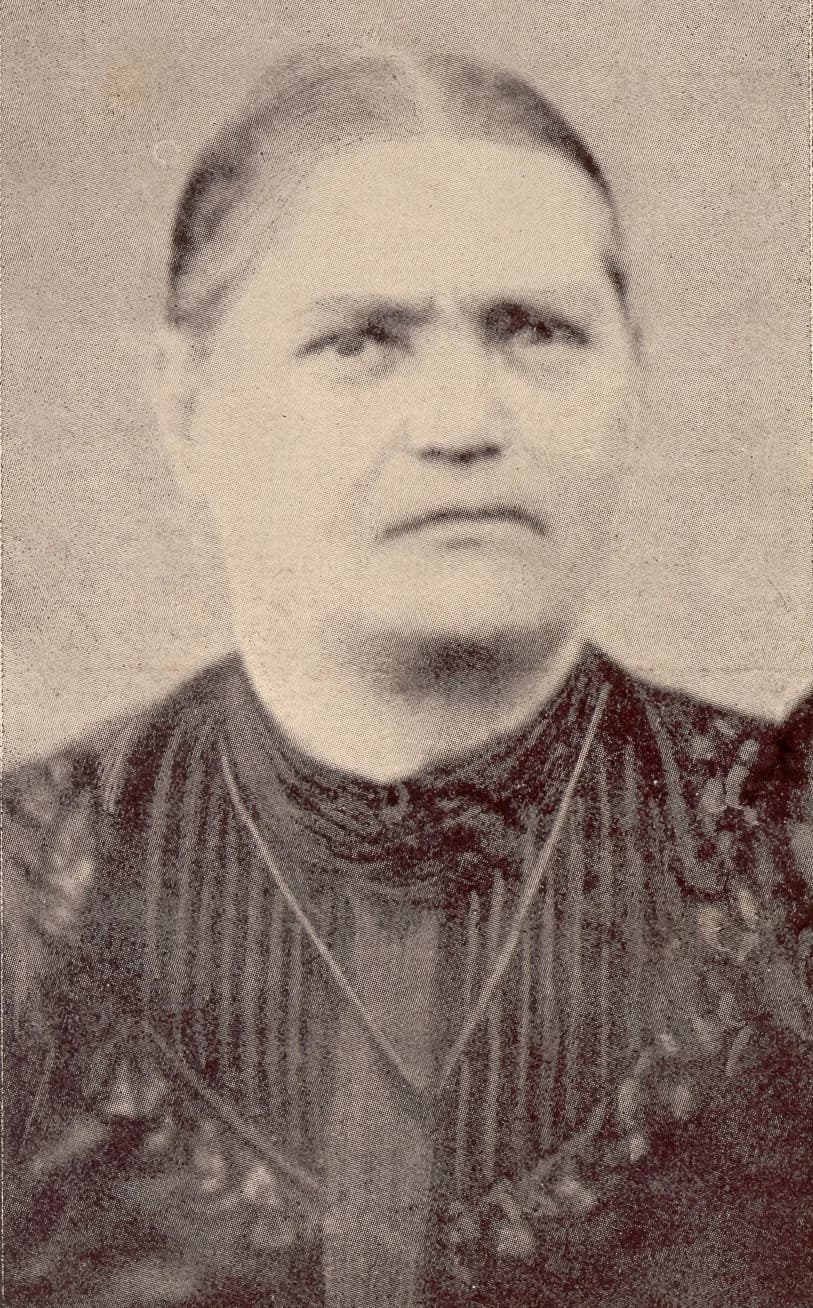 Ana Dimnik