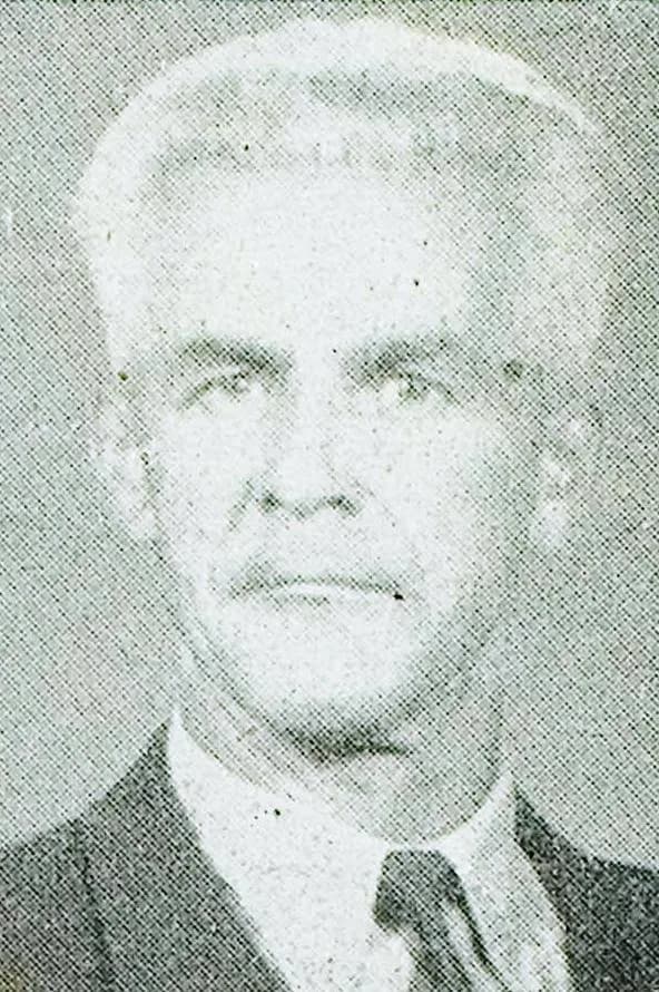 Vladimir Štolfa