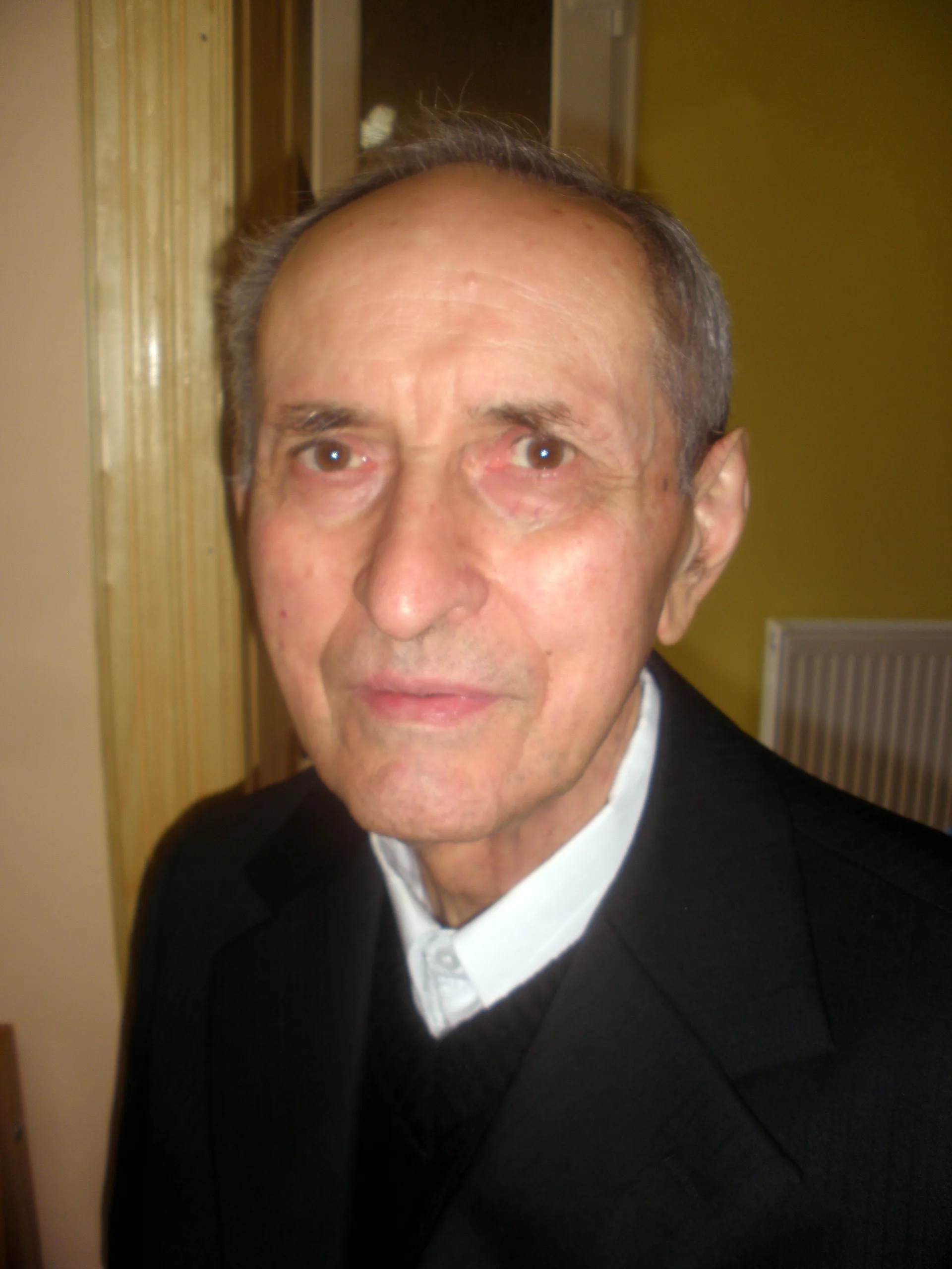 József Botka