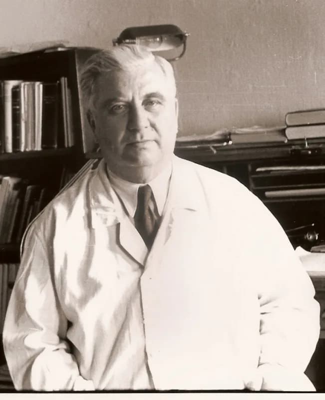 Gyula Méhes