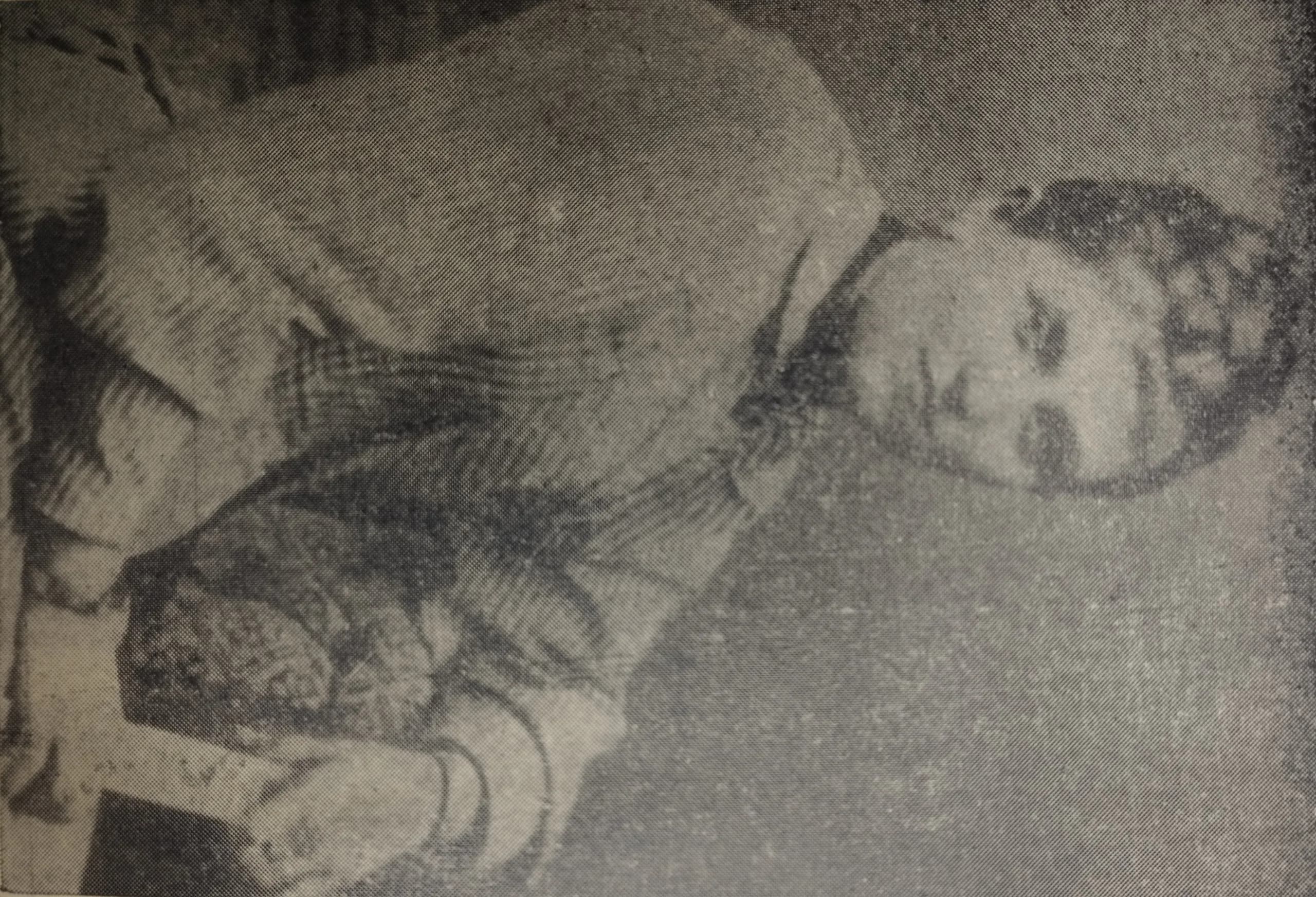 Maria Langova-Dyugmedzhieva