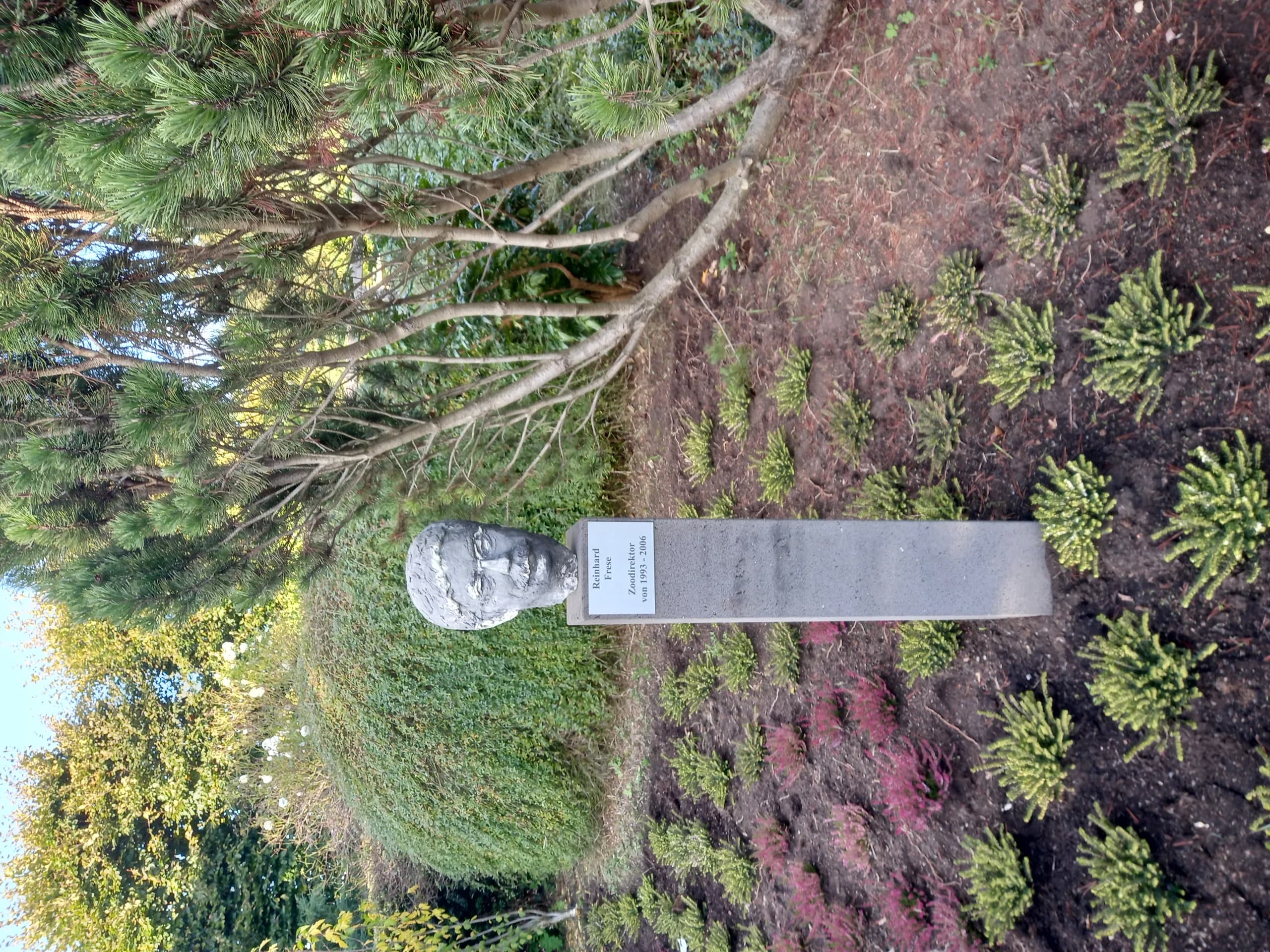 Reinhard Frese