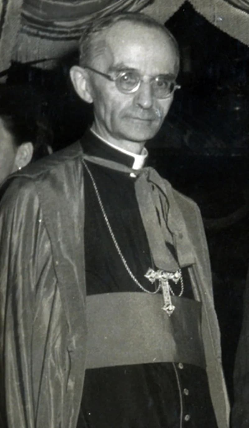 Ricardo Pittini Piussi