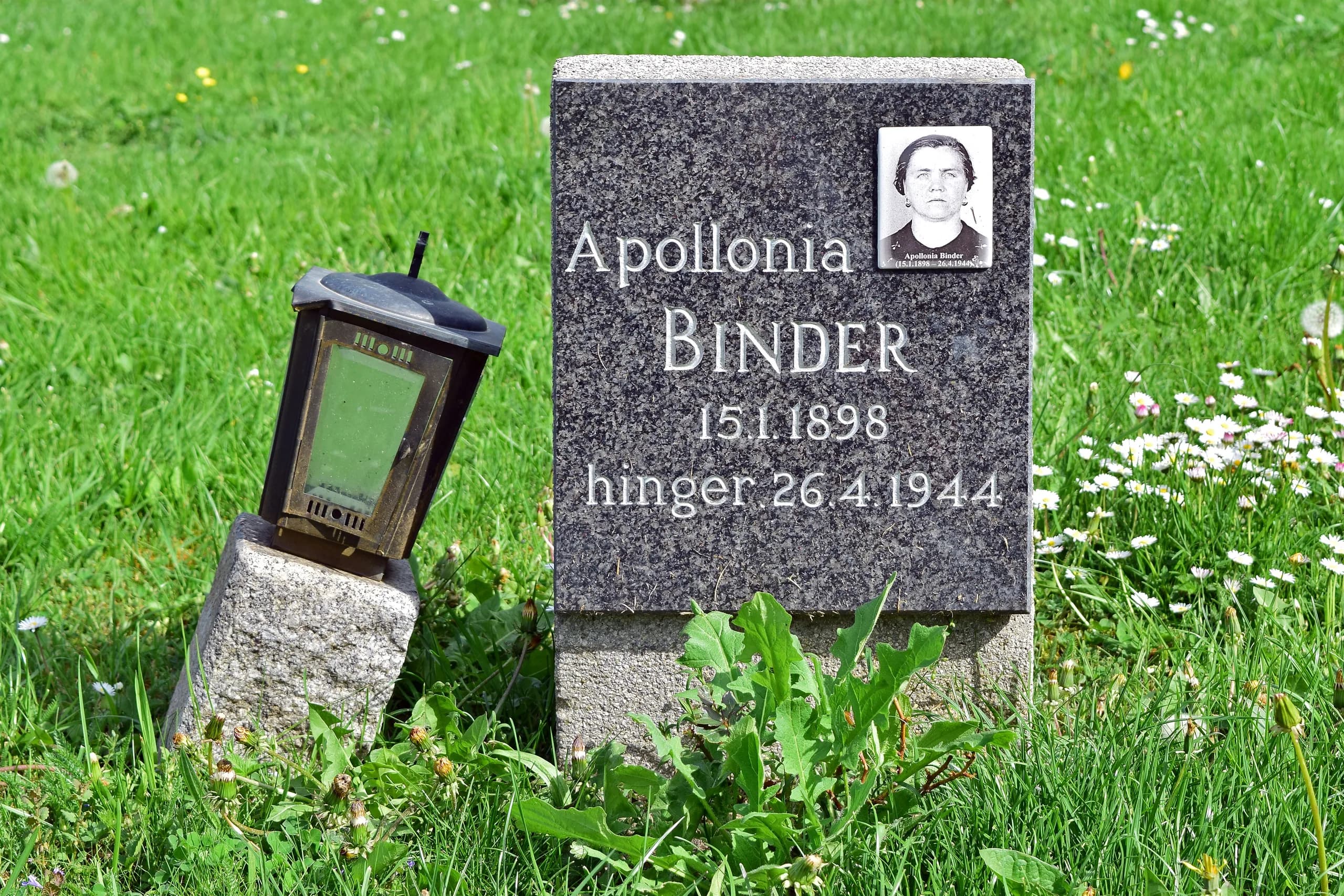 Apollonia Binder