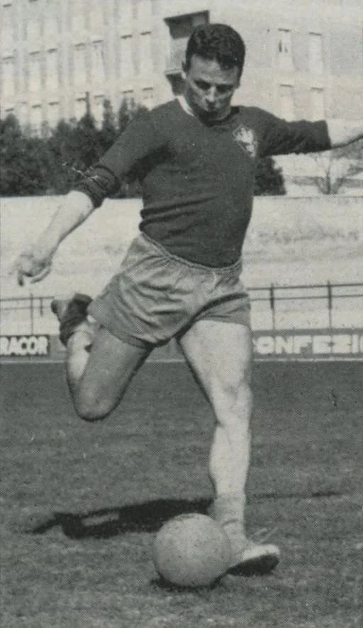 Ilario Castagner