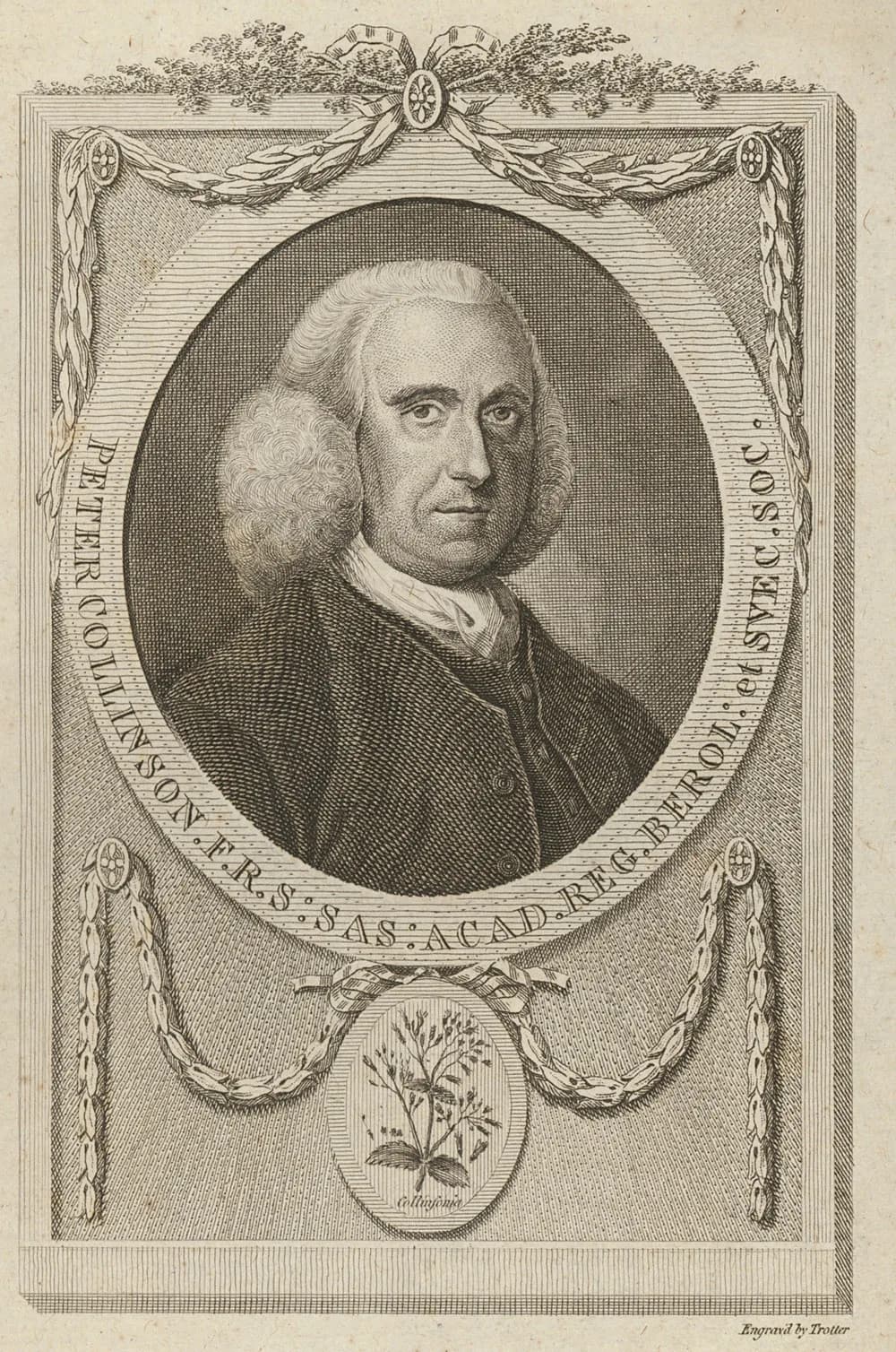 Peter Collinson