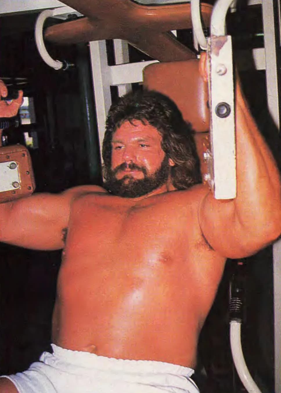 Steve Williams