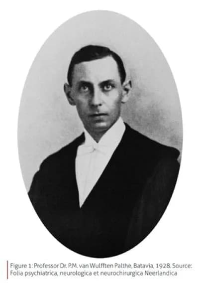 Pieter Matthijs van Wulfften Palthe