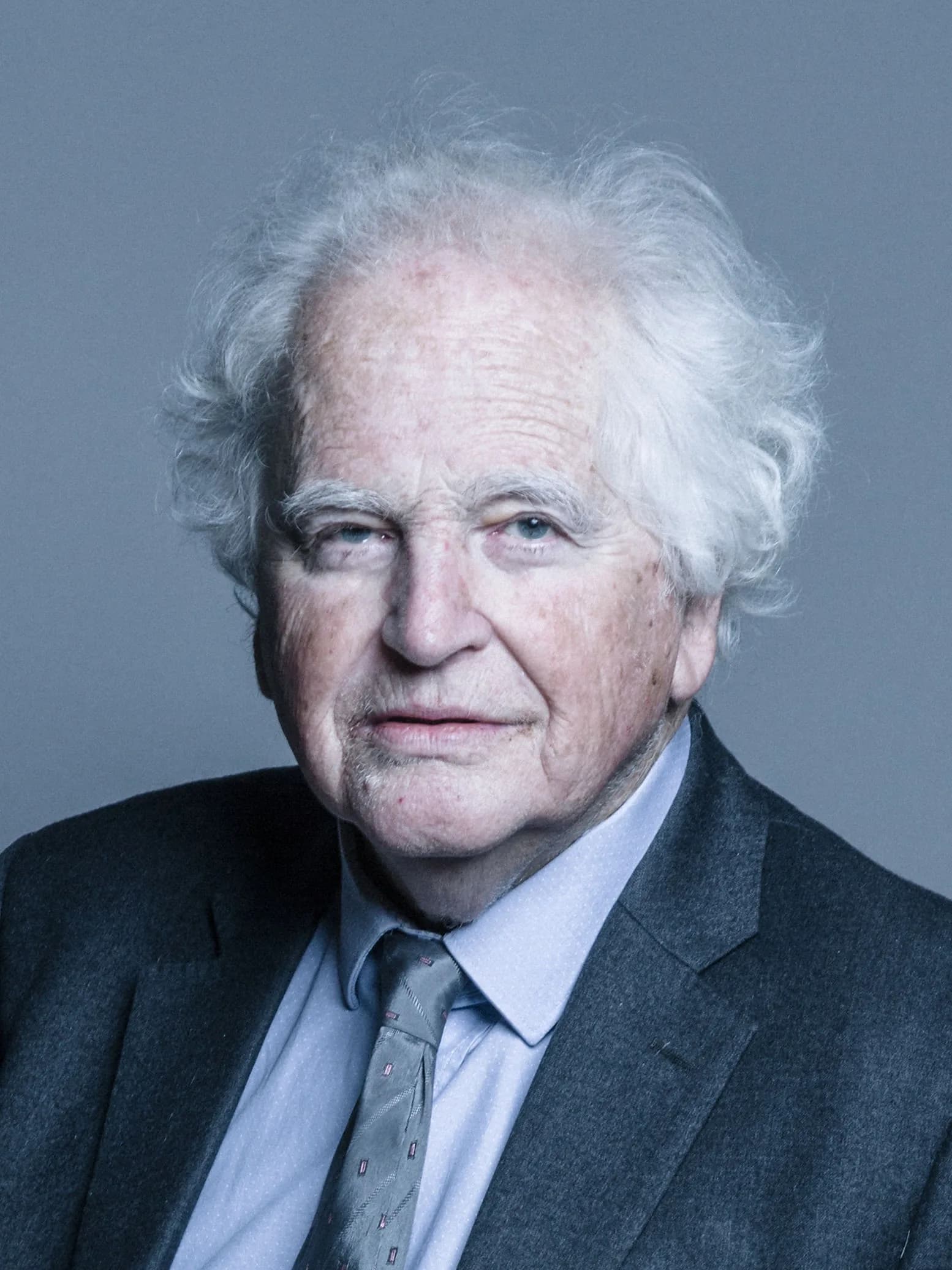 Giles Radice, Baron Radice