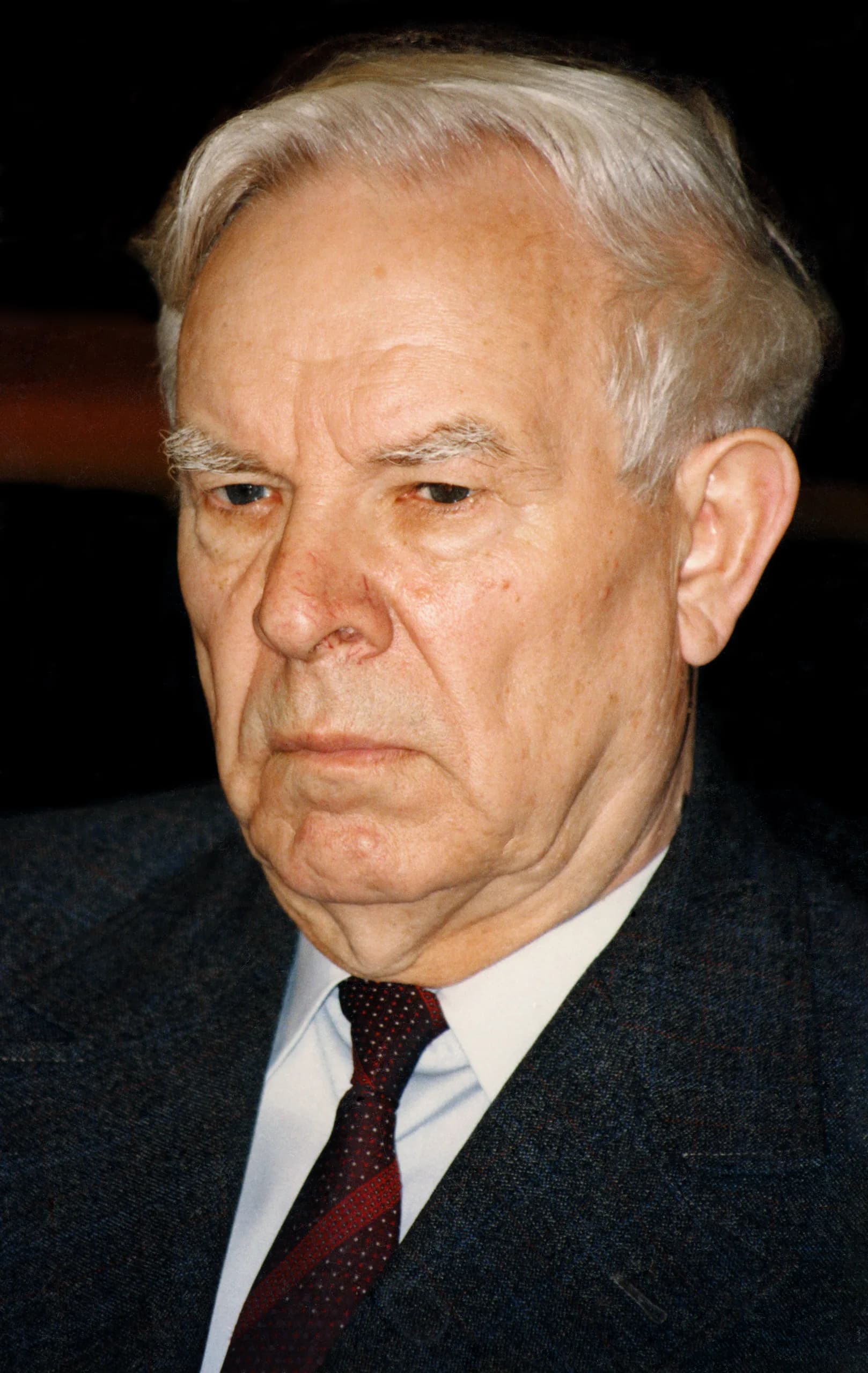 Wladimir Jefimowitsch Semitschastny