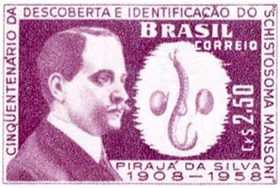 Manuel Augusto Pirajà da Silva