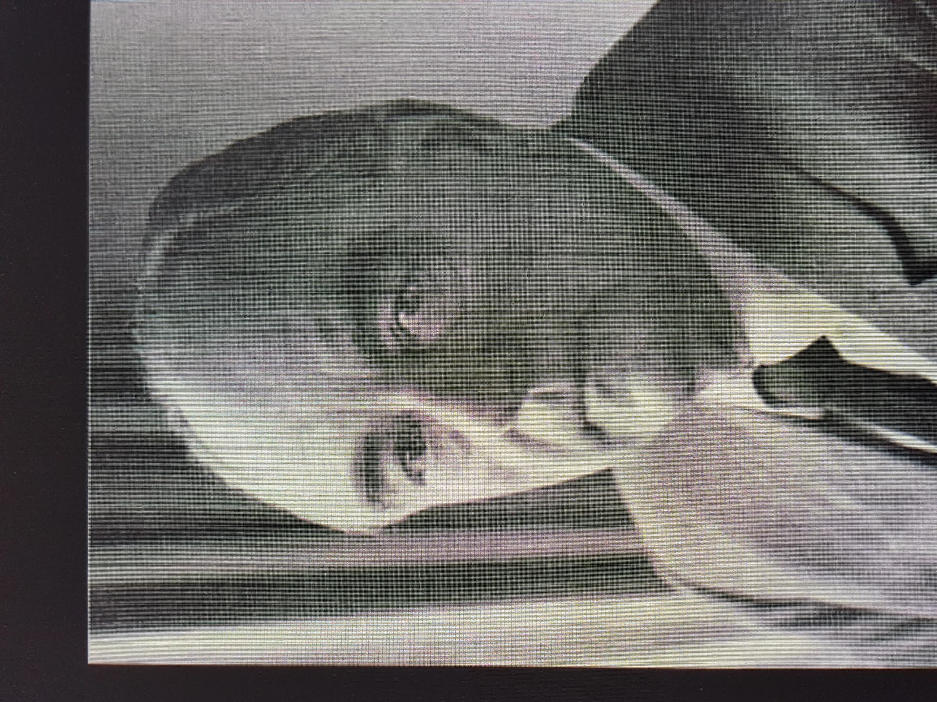 Hans Joachim Fuchs