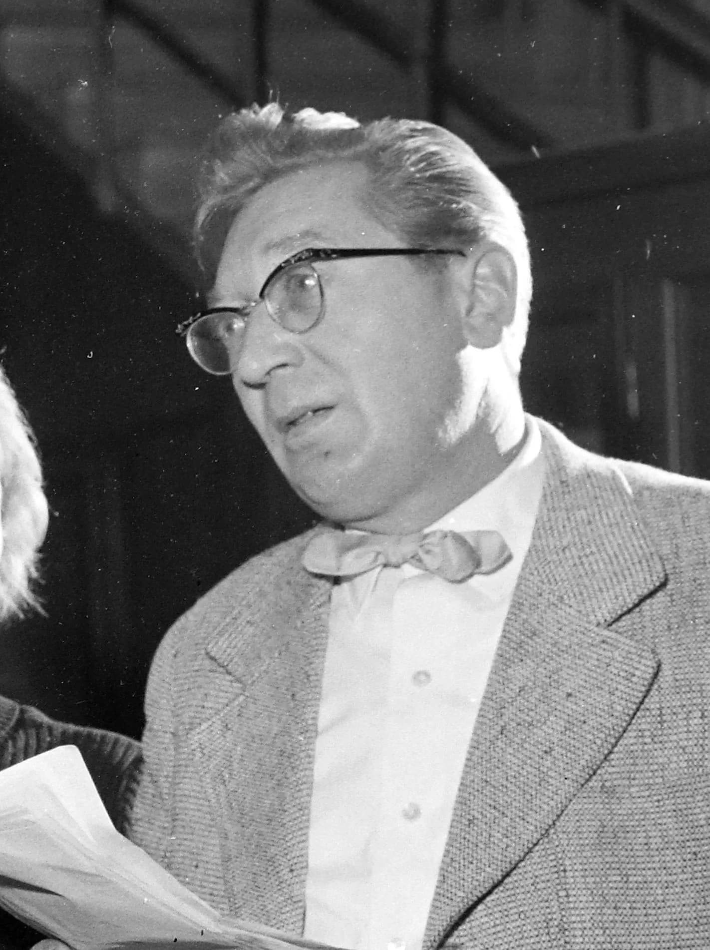 László Csákányi