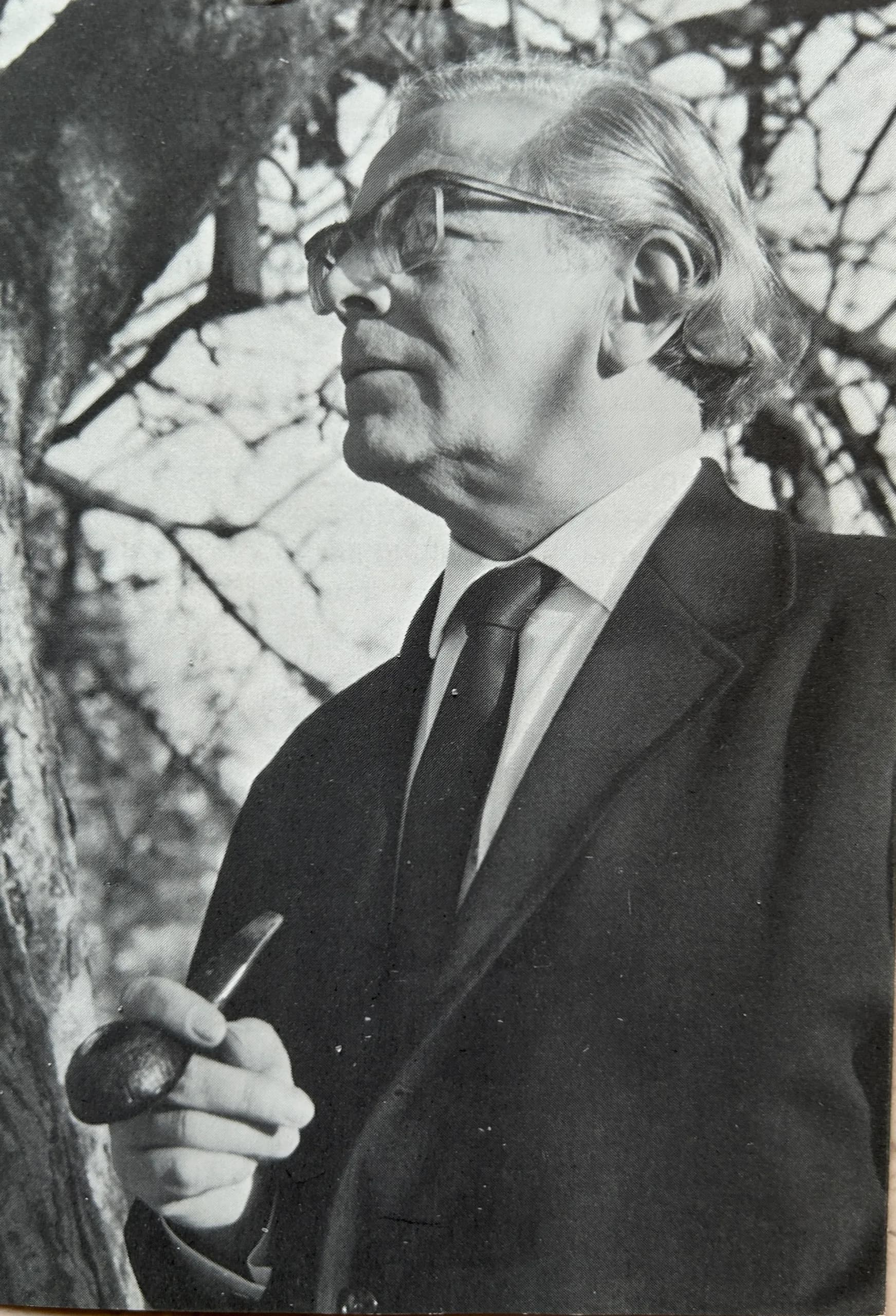 Fridolin Stier