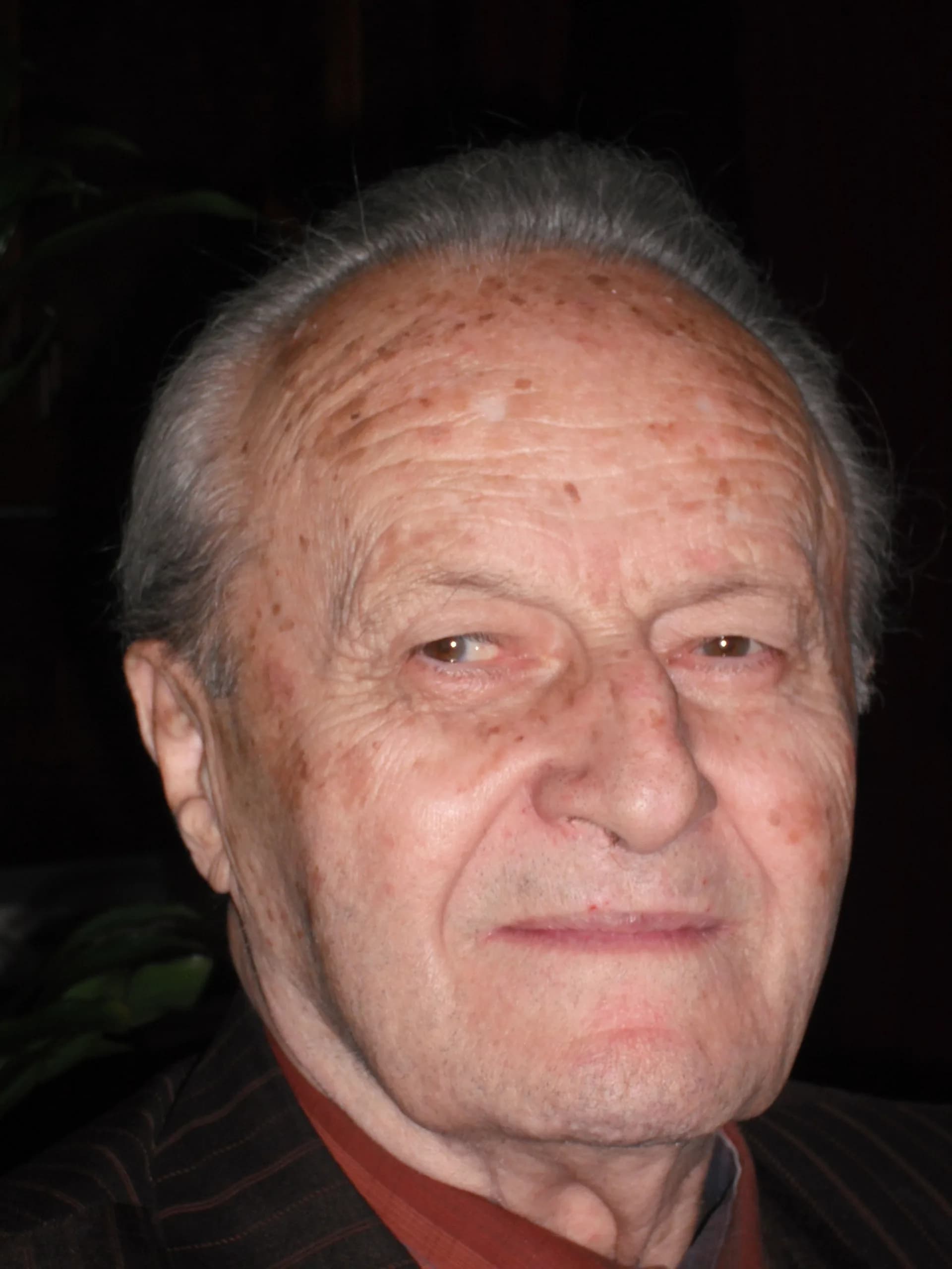 György Ádám