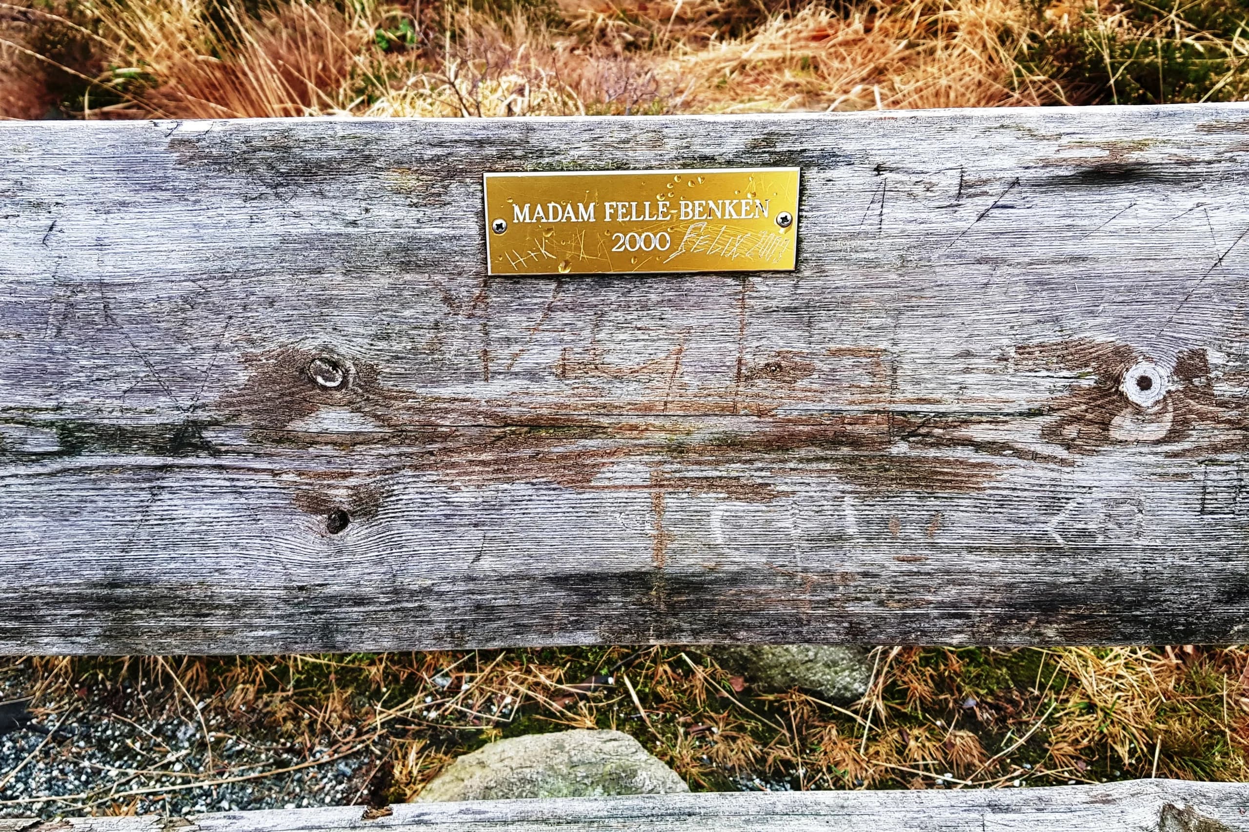 Madam Felle