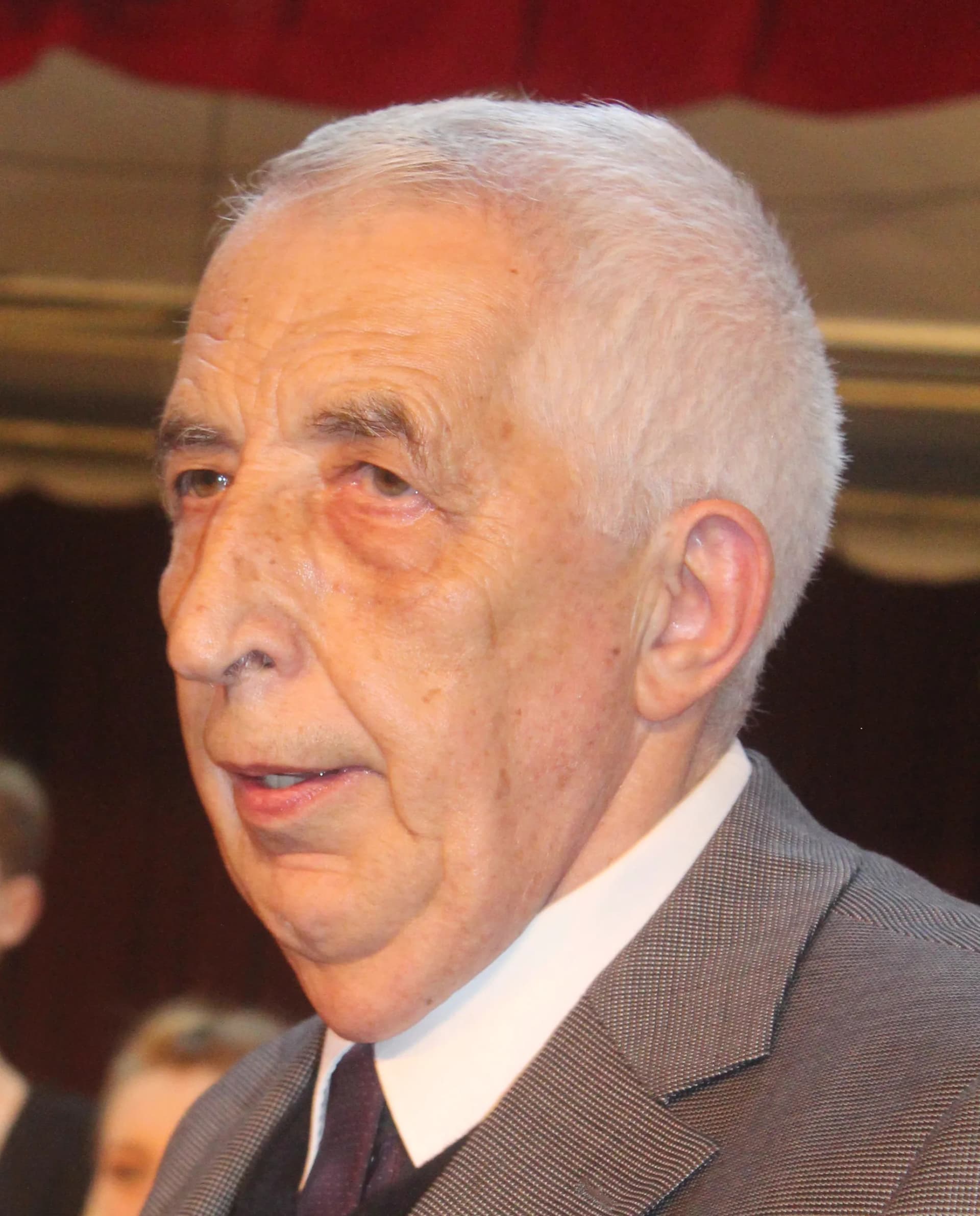 Imre Vizi