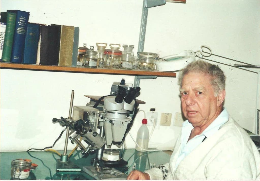 Gershom Levy