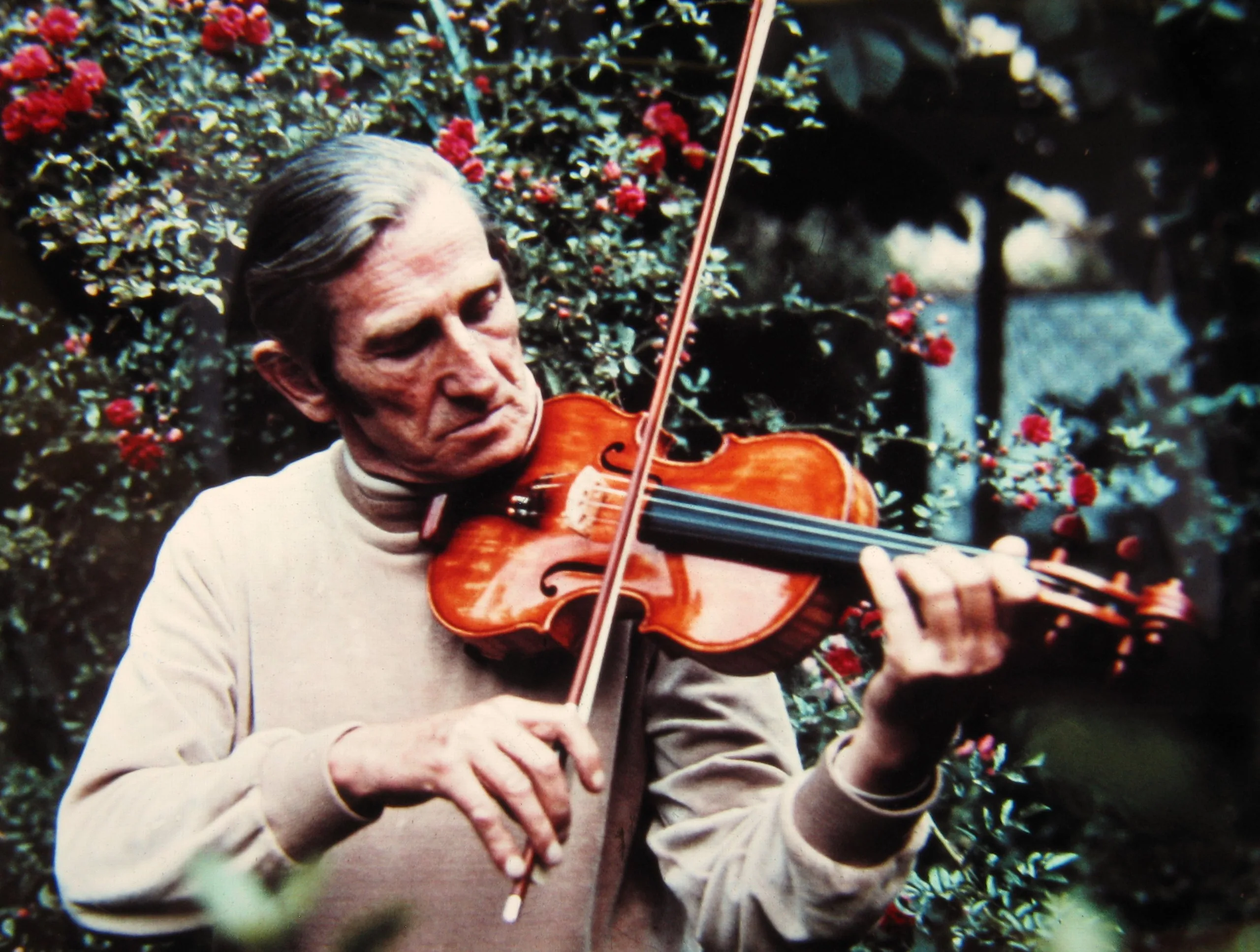 Karl Montag