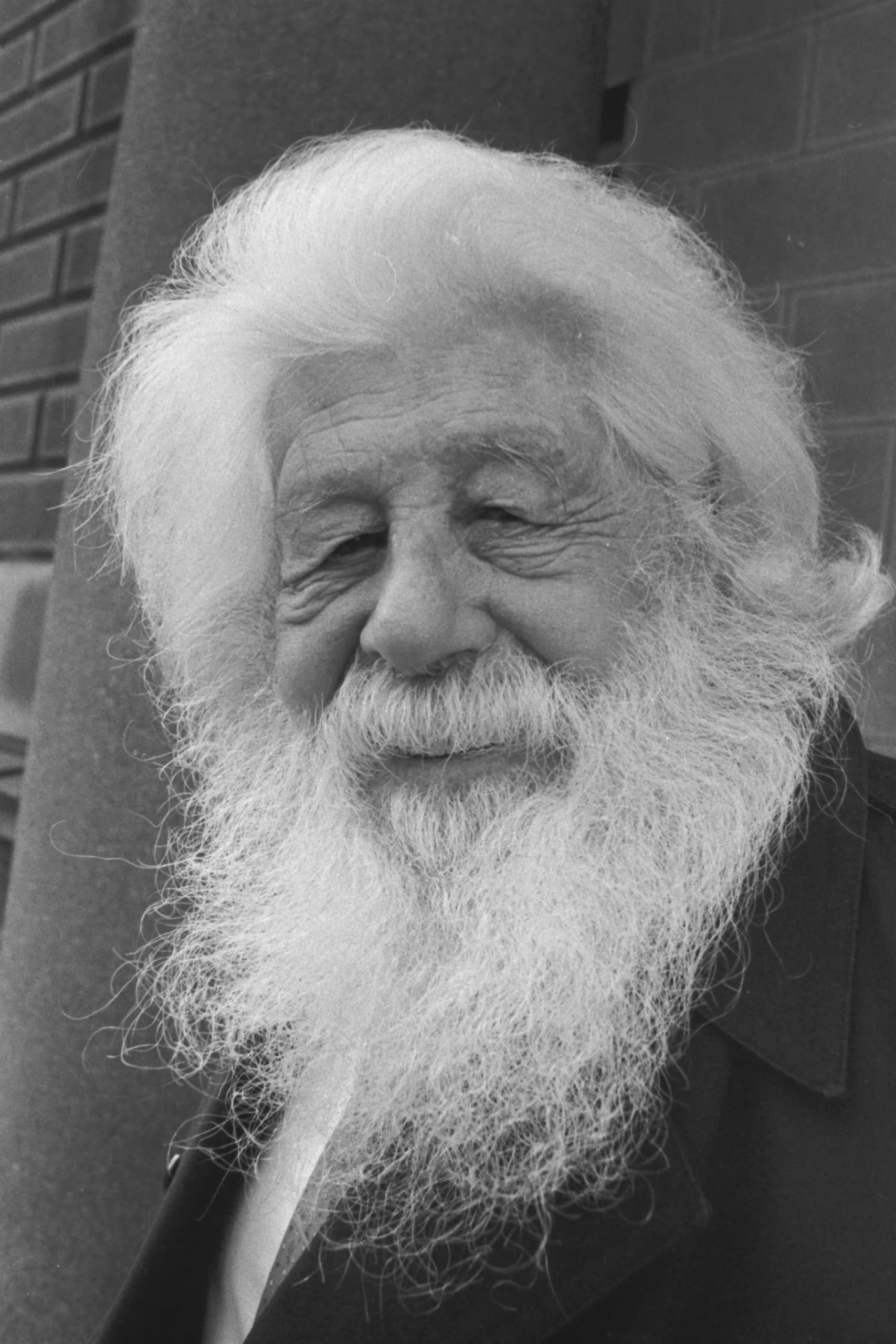 Stevan Bodnarov