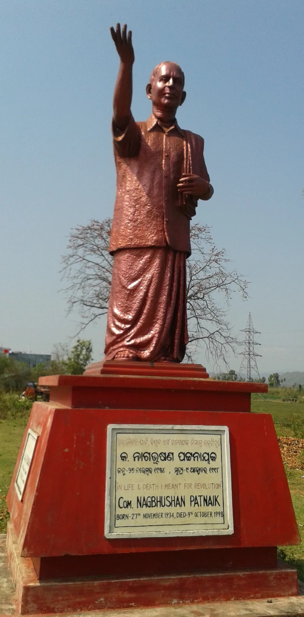 Nagbhushan Patnaik
